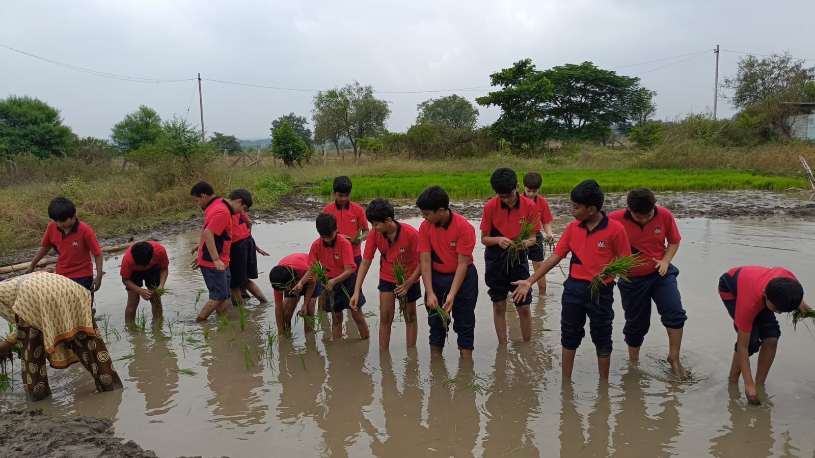 meru-international-school