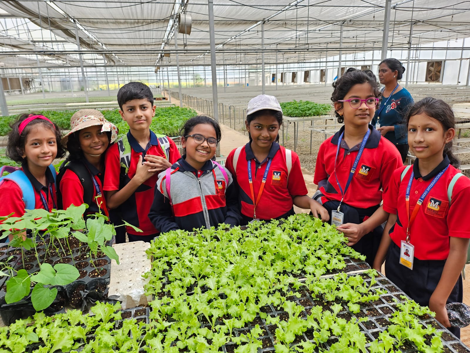 meru-international-school