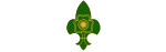 Bharat Scouts and Guides