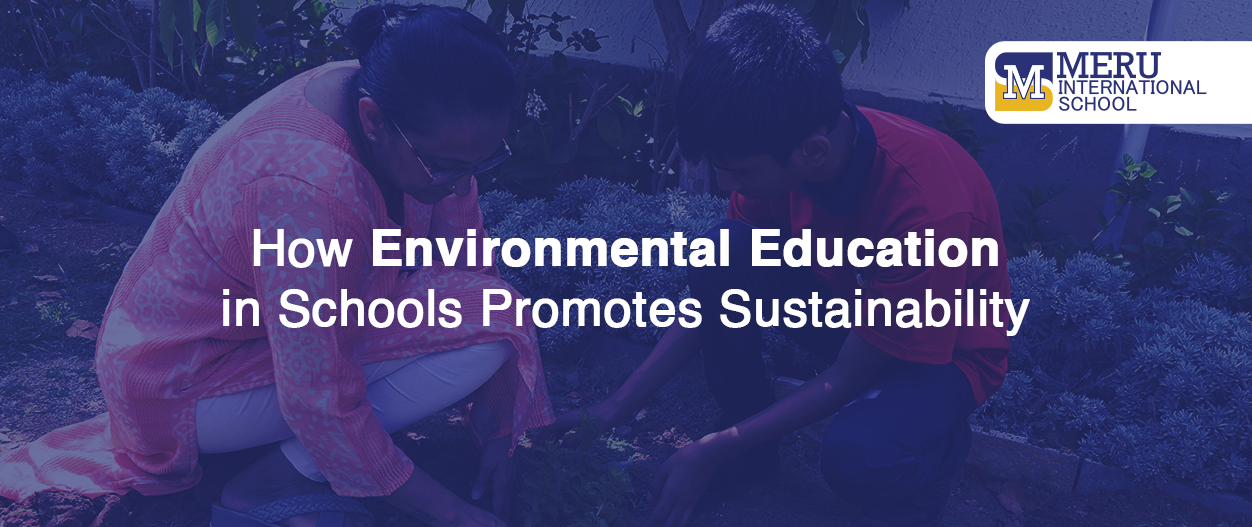 How Environmental Education in Schools Promotes Sustainability
