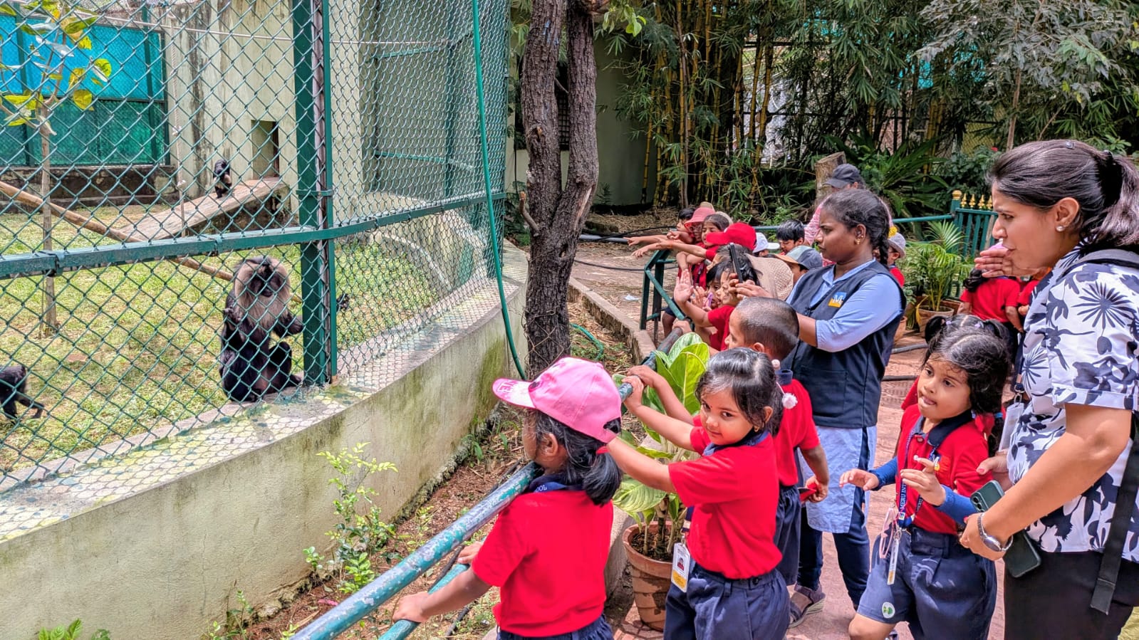 meru-international-school